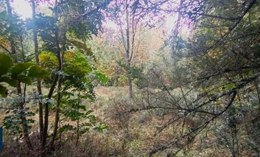 Parcela en venta en PUERTO MONTT