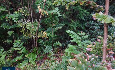 Parcela en venta en PUERTO MONTT