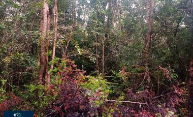 Parcela en venta en PUERTO MONTT