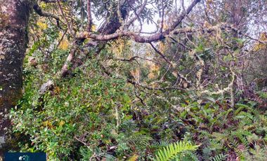 Parcela en venta en PUERTO MONTT