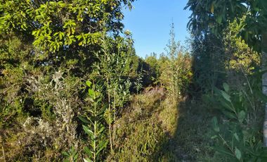 Parcela en venta en PUERTO MONTT