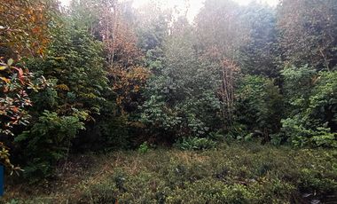 Parcela en venta en PUERTO MONTT