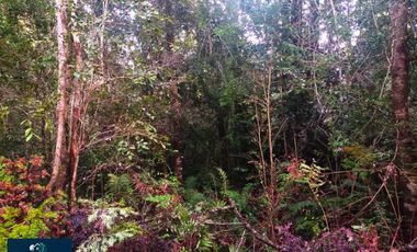 Parcela en venta en PUERTO MONTT