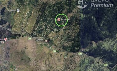 Agrícola en Venta en EL PARRON FUNDO CERRO NEGRO