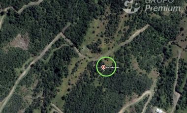 Agrícola en Venta en EL PARRON FUNDO CERRO NEGRO