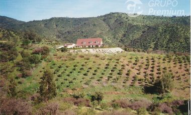 Parcela en Venta en Sector del Aerodromo