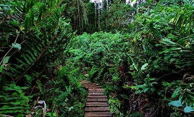 Casa en Venta en Km 3,5 camino Villarrica-Loncoche