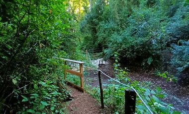 Local Comercial en Venta en Km 3,5 camino Villarrica-Loncoche