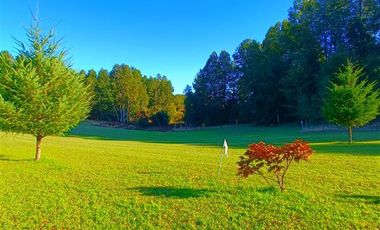 Local Comercial en Venta en Km 3,5 camino Villarrica-Loncoche