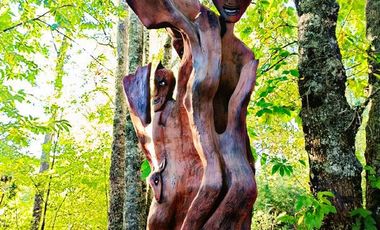 Local Comercial en Venta en Km 3,5 camino Villarrica-Loncoche