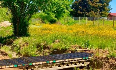 Parcela en Venta en HERMOSA PARCELA DE 5000M2 CON CASA NUEVA EN VENTA PELARCO