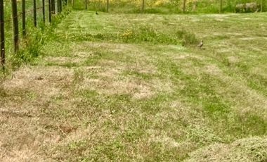 Parcela en Venta en HERMOSA PARCELA DE 5000M2 CON CASA NUEVA EN VENTA PELARCO