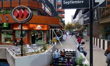 Departamento en Arriendo en AMPLIO DEPARTAMENTO PROVIDENCIA TODOS LOS GASTOS INCLUIDOS