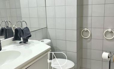 Departamento en Arriendo en AMPLIO DEPARTAMENTO PROVIDENCIA TODOS LOS GASTOS INCLUIDOS