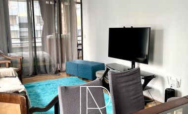 Departamento en Arriendo en AMPLIO DEPARTAMENTO PROVIDENCIA TODOS LOS GASTOS INCLUIDOS