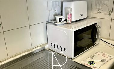 Departamento en Arriendo en AMPLIO DEPARTAMENTO PROVIDENCIA TODOS LOS GASTOS INCLUIDOS