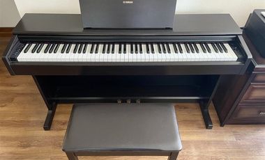 Departamento en Arriendo en AV BICENTENARIO, DIRECTO AL PARQUE