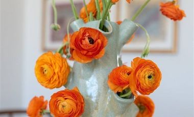 Departamento en Arriendo en Club palestino