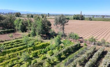 Agrícola en Venta en sector Llano Blanco, comuna de Yerbas Buenas