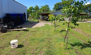 Agrícola en Venta en sector Llano Blanco, comuna de Yerbas Buenas
