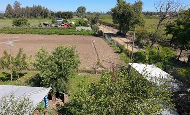Agrícola en Venta en sector Llano Blanco, comuna de Yerbas Buenas