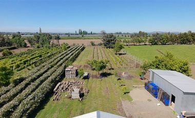 Agrícola en Venta en sector Llano Blanco, comuna de Yerbas Buenas