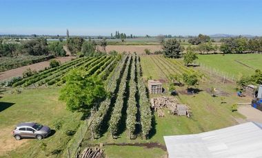 Agrícola en Venta en sector Llano Blanco, comuna de Yerbas Buenas