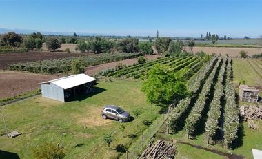 Agrícola en Venta en sector Llano Blanco, comuna de Yerbas Buenas