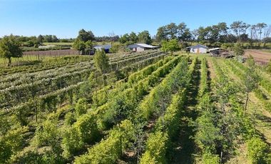 Agrícola en Venta en sector Llano Blanco, comuna de Yerbas Buenas