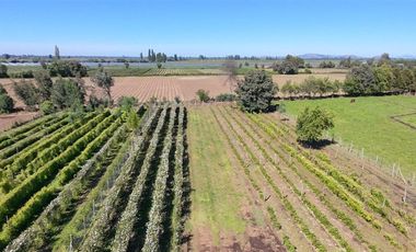 Agrícola en Venta en sector Llano Blanco, comuna de Yerbas Buenas
