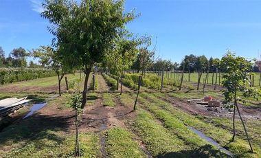 Agrícola en Venta en sector Llano Blanco, comuna de Yerbas Buenas