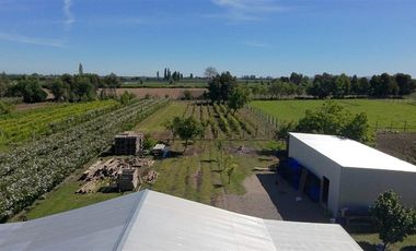 Agrícola en Venta en sector Llano Blanco, comuna de Yerbas Buenas