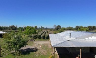 Parcela en Venta en sector Llano Blanco, comuna de Yerbas Buenas