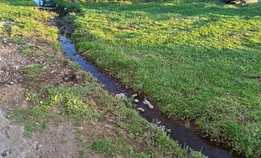 Parcela en Venta en sector Llano Blanco, comuna de Yerbas Buenas