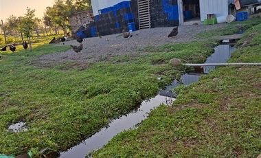 Parcela en Venta en sector Llano Blanco, comuna de Yerbas Buenas
