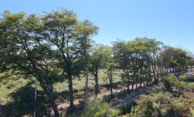 Parcela en Venta en sector Llano Blanco, comuna de Yerbas Buenas