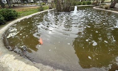 Departamento en Arriendo en Condominio Bosque de la candelaria