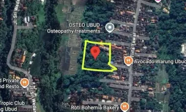 Land for sale in Ubud, Bali