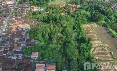 Land for sale in Ubud, Bali