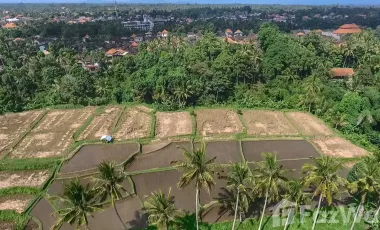 Land for sale in Ubud, Bali