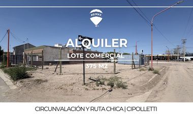 LOTE EN ALQUILER CIRCUNVALACIÓN CIPOLLETTI