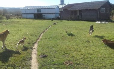 OPORTUNIDAD , EX ESCUELA EN VENTA EN  LACOMUNA DE FRESIA