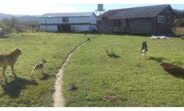 OPORTUNIDAD , EX ESCUELA EN VENTA EN  LACOMUNA DE FRESIA