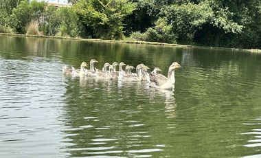 Casa en el Campo en Fraccionamiento con Amenidades de Lujo Valle de Bravo