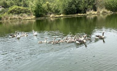 Casa en el Campo en Fraccionamiento con Amenidades de Lujo Valle de Bravo