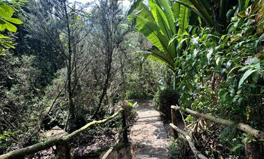 Terreno - San Mateo Acatitlán