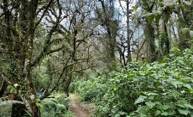 Terreno - San Mateo Acatitlán