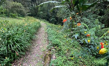 Terreno - San Mateo Acatitlán