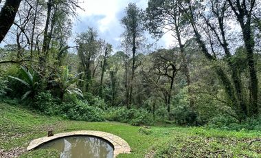 Terreno - San Mateo Acatitlán