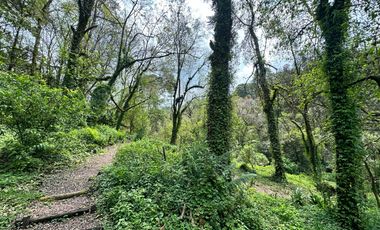 Terreno - San Mateo Acatitlán